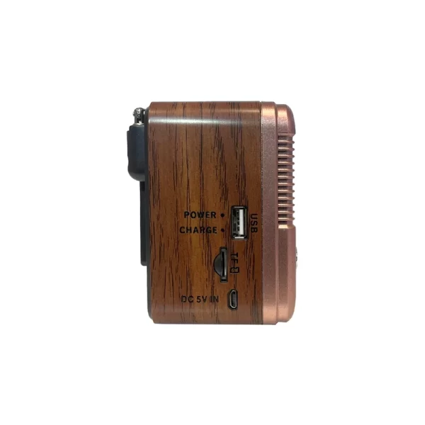 رادیو بلوتوثی گولون مدل RX-BT6060S - Image 5