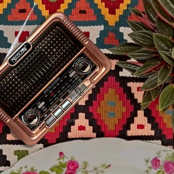 رادیو بلوتوثی گولون مدل RX-BT6060S - Image 7